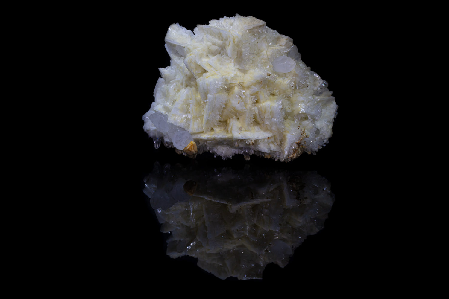 Collection - Rock of Science